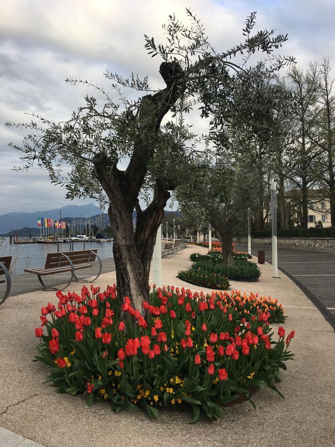 Cabà Holiday Bardolino D'Annunzio Esterno foto